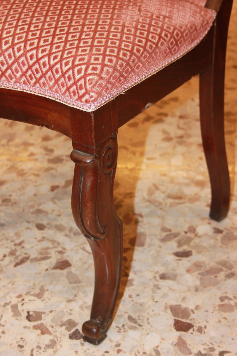 Set Of 6 Directoire Chairs In Mahogany Wood-photo-2