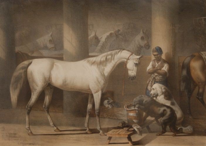 Estampe Couleur Française Ancienne Des Années 1800, écurie Avec Des Animaux-photo-2