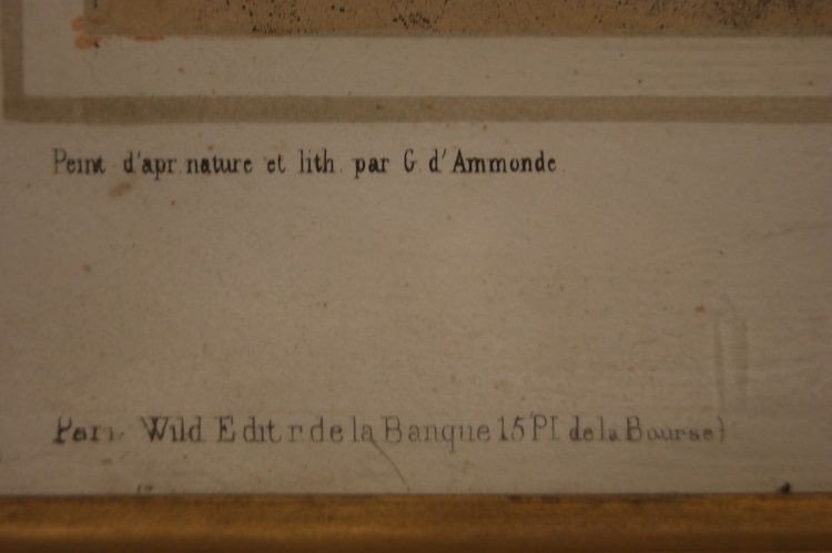 Estampe Couleur Française Ancienne Des Années 1800, écurie Avec Des Animaux-photo-1
