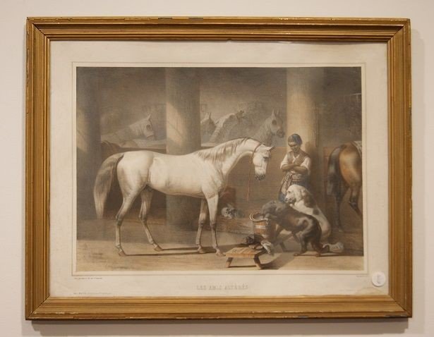 Estampe Couleur Française Ancienne Des Années 1800, écurie Avec Des Animaux