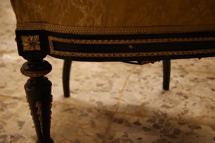 French Living Room From The Mid-1800s In The Louis XVI Style In Ebonized Wood-photo-3