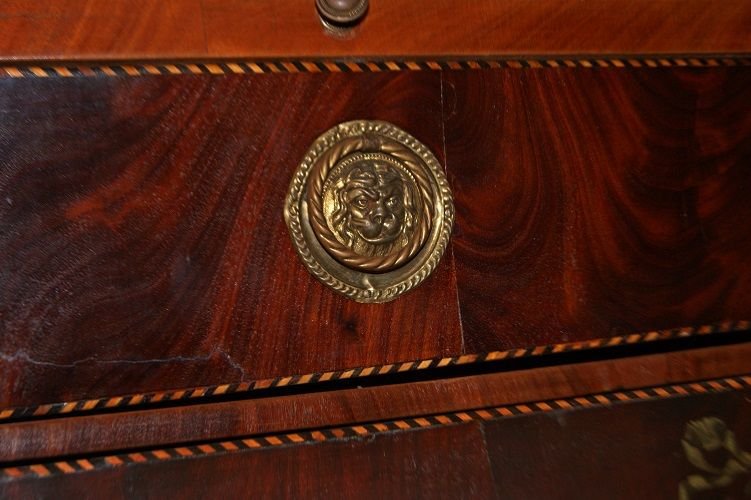 Large Dutch Castor Chest From The Late 1700s, Louis XV Style, In Mahogany Wood-photo-1