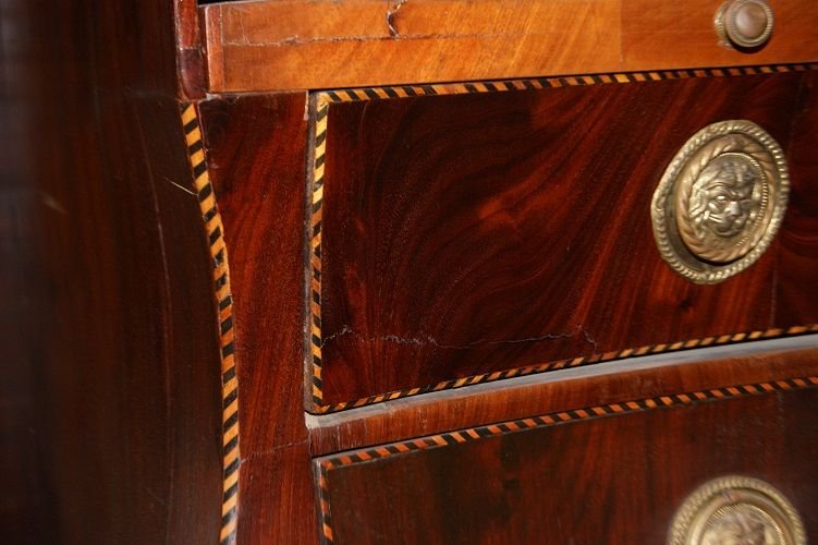 Large Dutch Castor Chest From The Late 1700s, Louis XV Style, In Mahogany Wood-photo-2