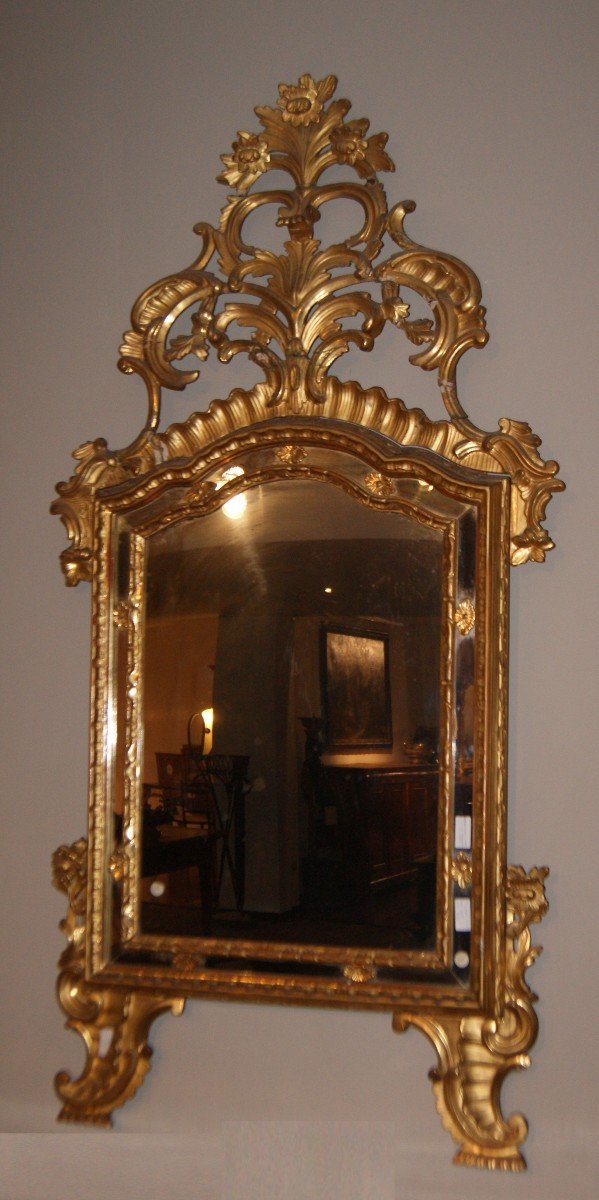 Spectacular Italian Mirror From The 1700s Gilt Gold Leaf Louis XV