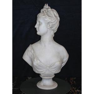 Bust Depicting Goddess Artemis Marble Carrara 