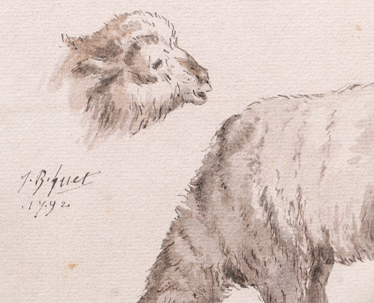 Jean-baptiste Hüet, Three Studies Of Sheeps-photo-3