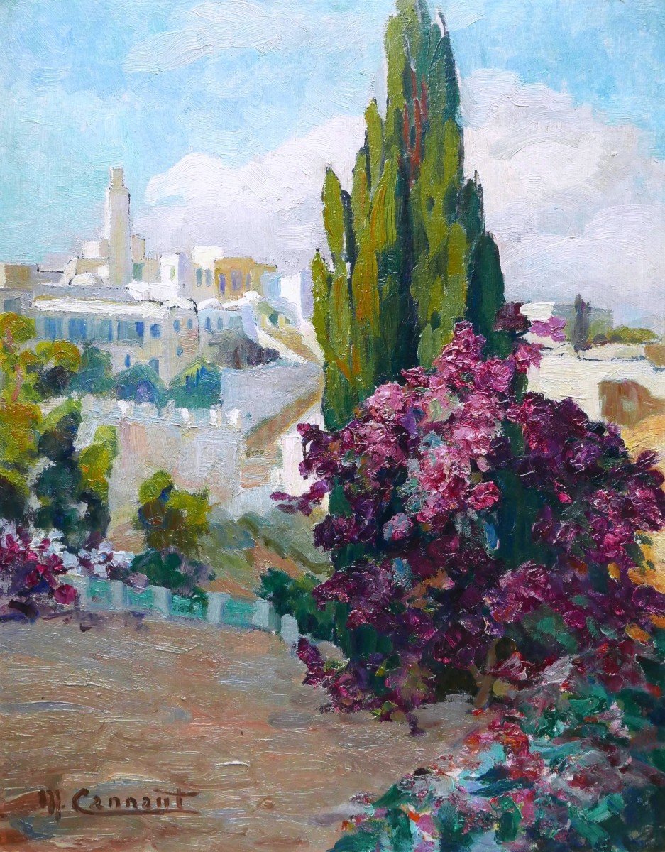 Micheline CANNAUT-UTZ, Paysage à Sidi Bou-Saïd en Tunisie