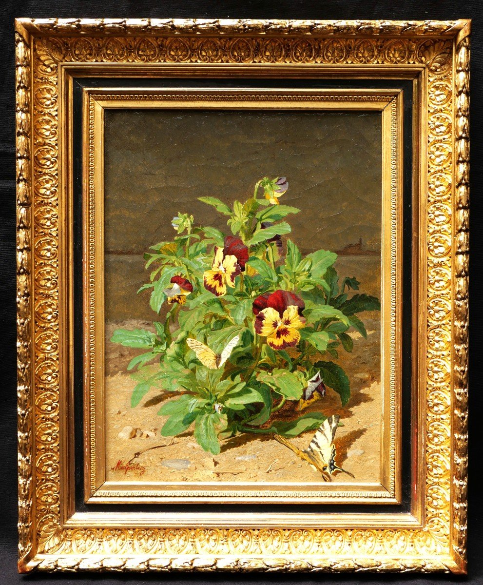 Joseph Augustin MALPERTUY, Nature morte aux pensées et papillons-photo-4