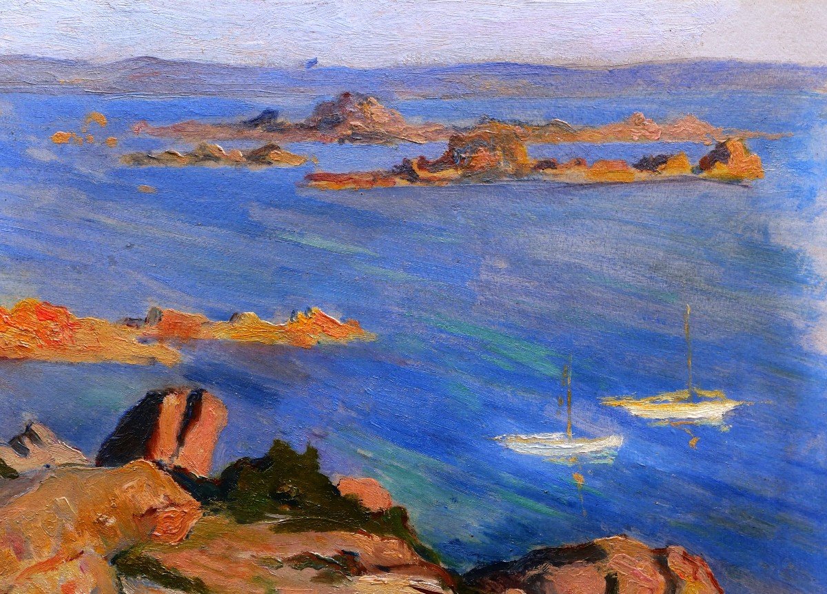 Attributed To Eugène Alfred Delâtre, Landscape At Bréhat-photo-2