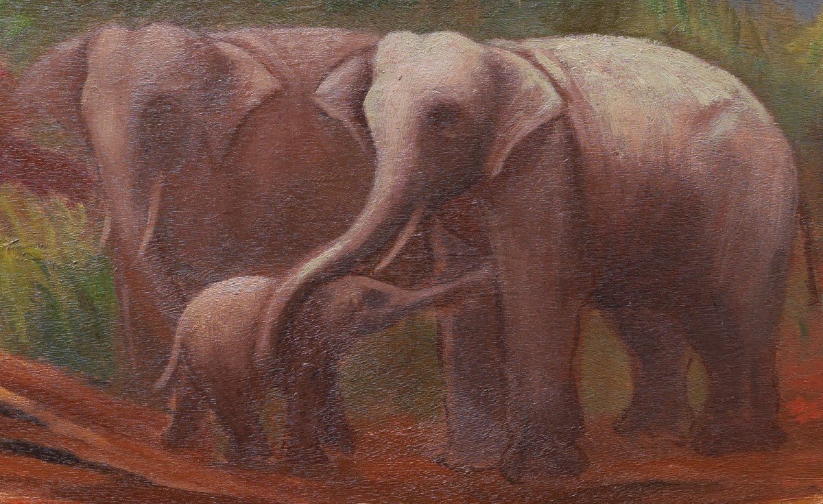 Mateo Hernández Sánchez, Elephant Family-photo-2