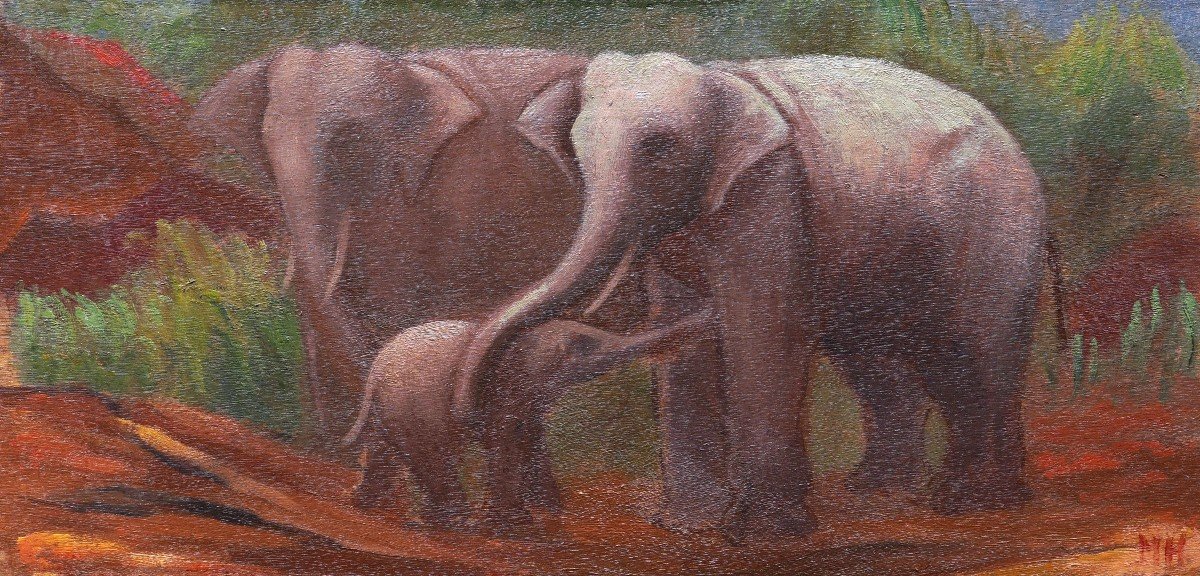 Mateo Hernández Sánchez, Elephant Family