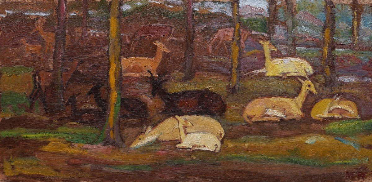 Mateo Hernández Sánchez, Deer In The Forest