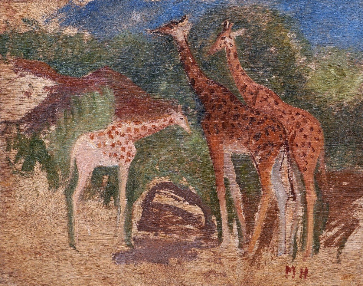 Mateo HERNÁNDEZ SÁNCHEZ, Famille de girafes