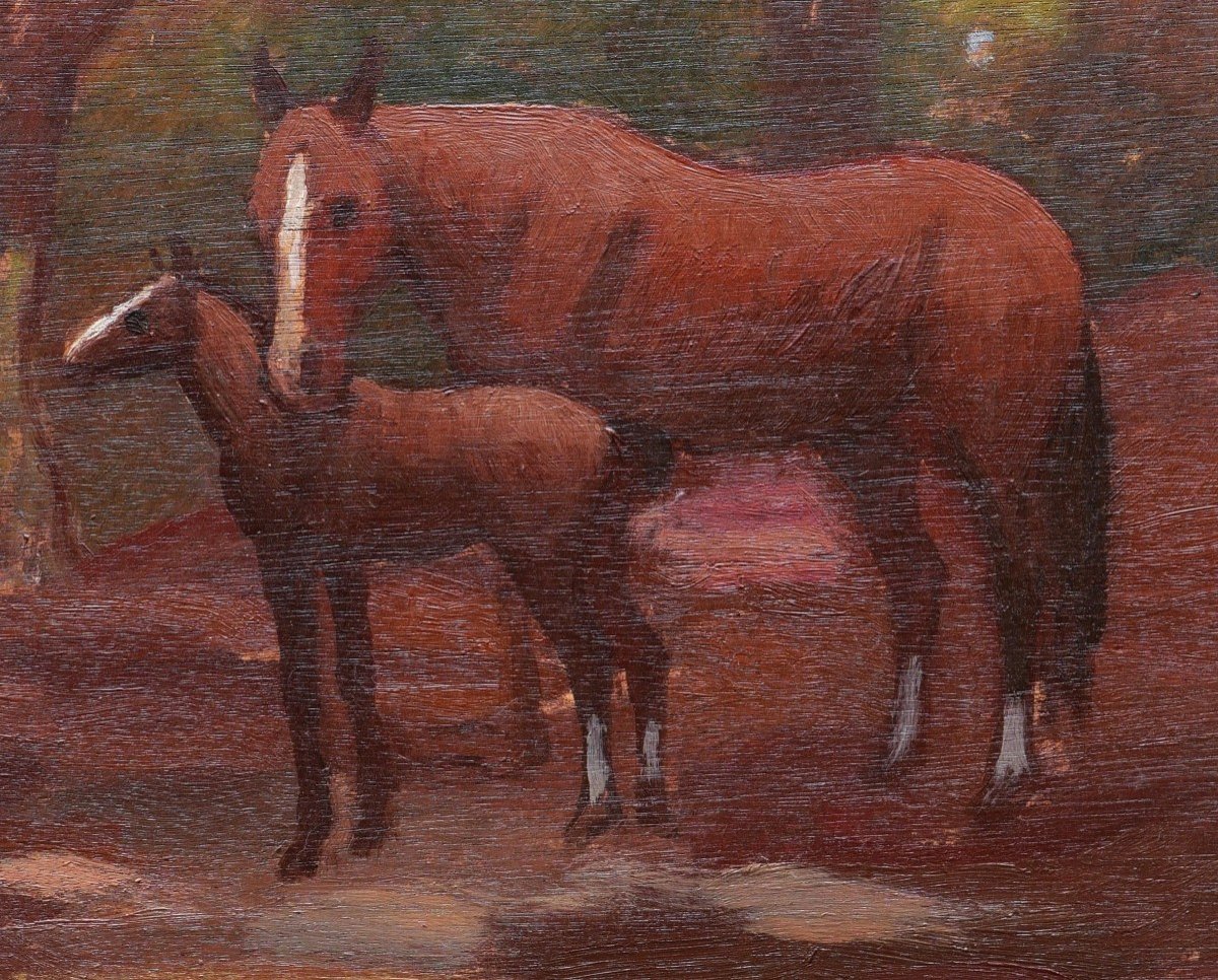 Mateo Hernández Sánchez, Mare And Her Foal-photo-2