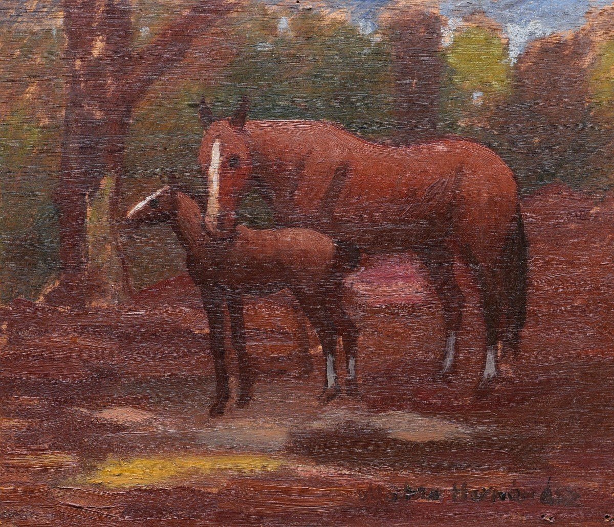 Mateo Hernández Sánchez, Mare And Her Foal