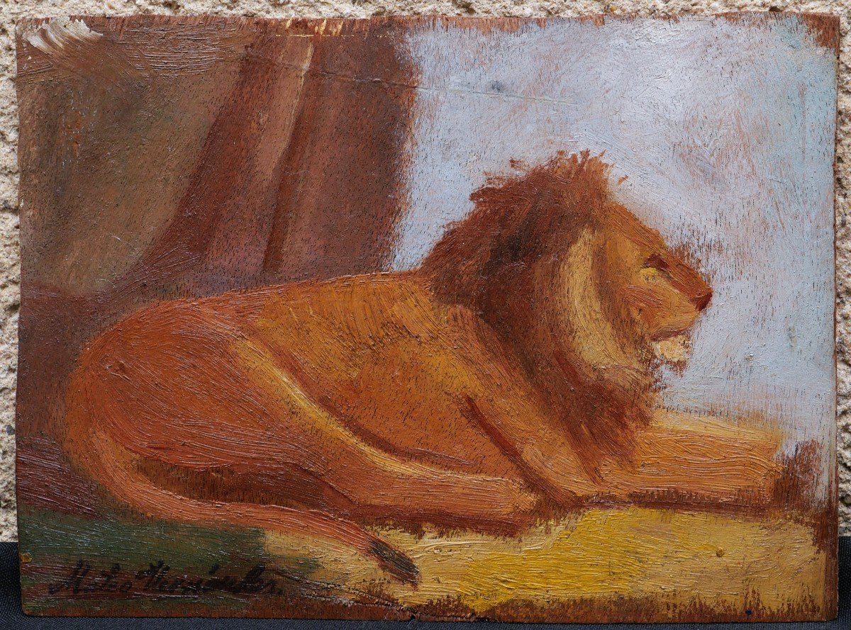 Mateo Hernández Sánchez, Lying Lion-photo-3