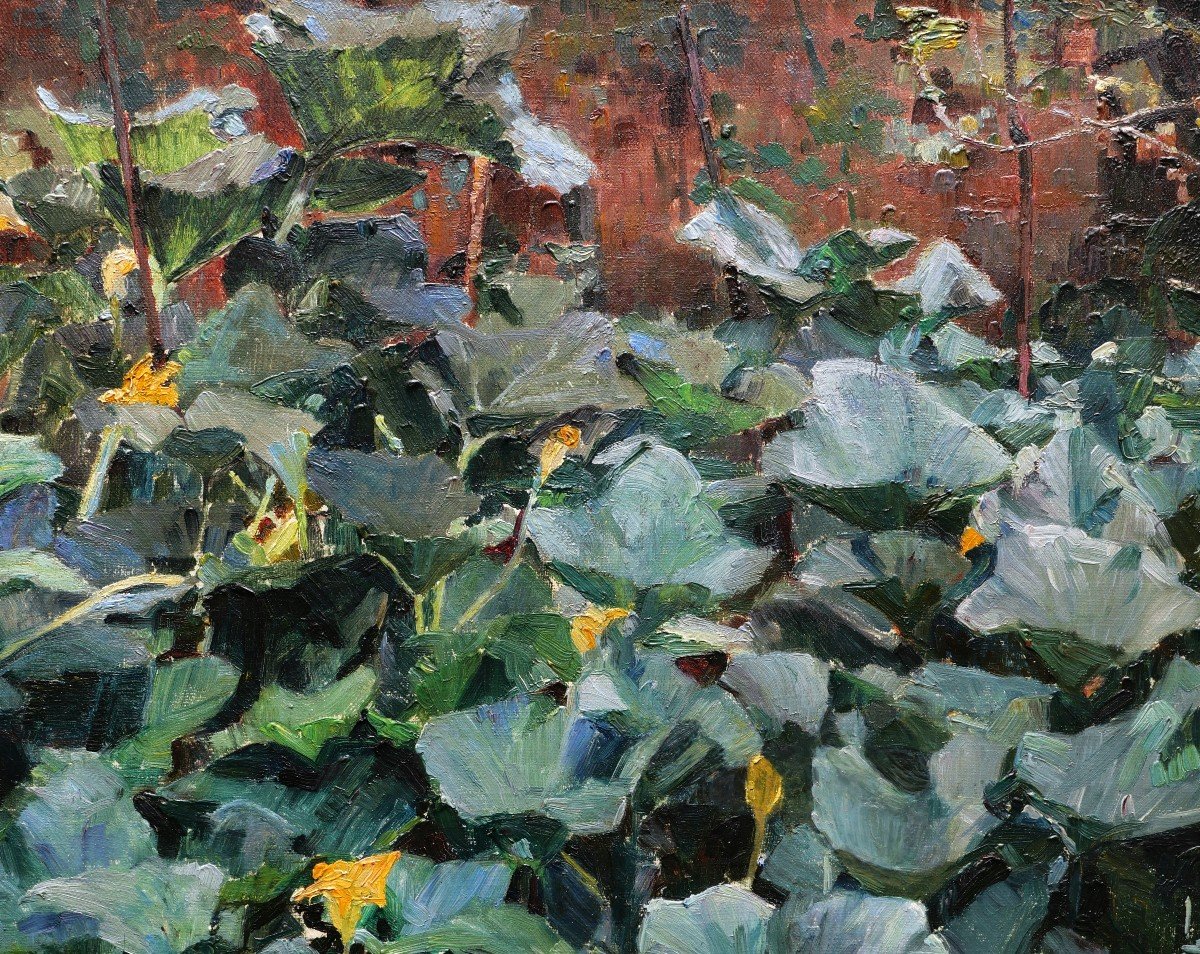 Marius Adolphe CULMANN, Massif de courges en fleur-photo-2