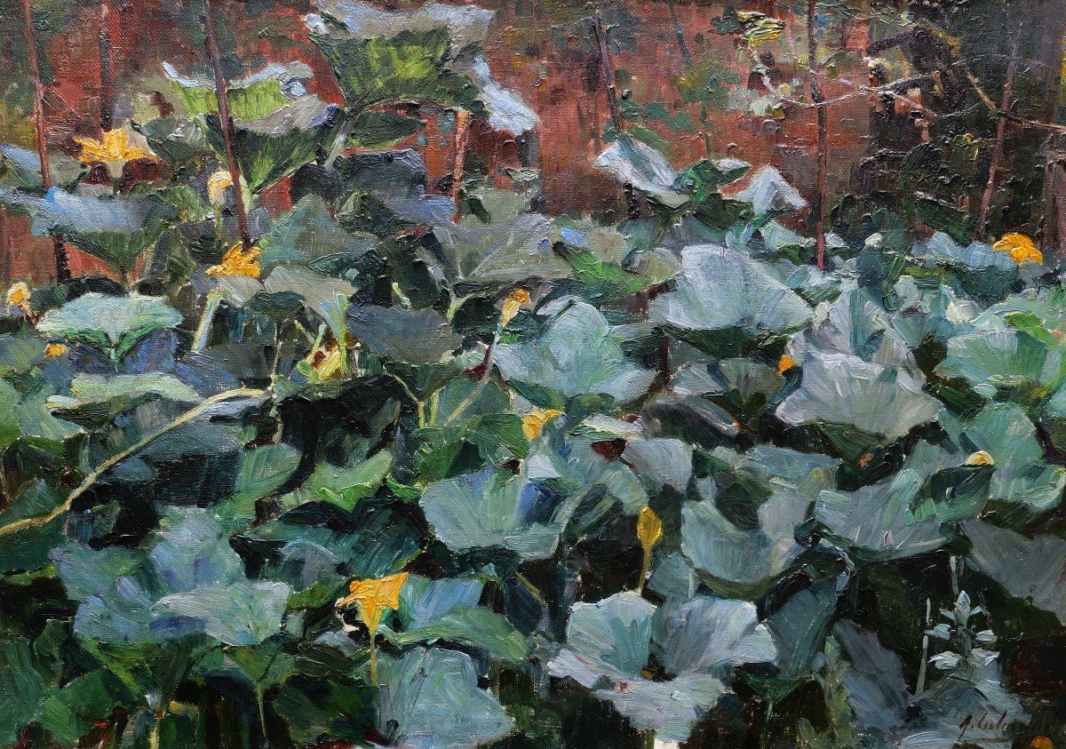 Marius Adolphe CULMANN, Massif de courges en fleur