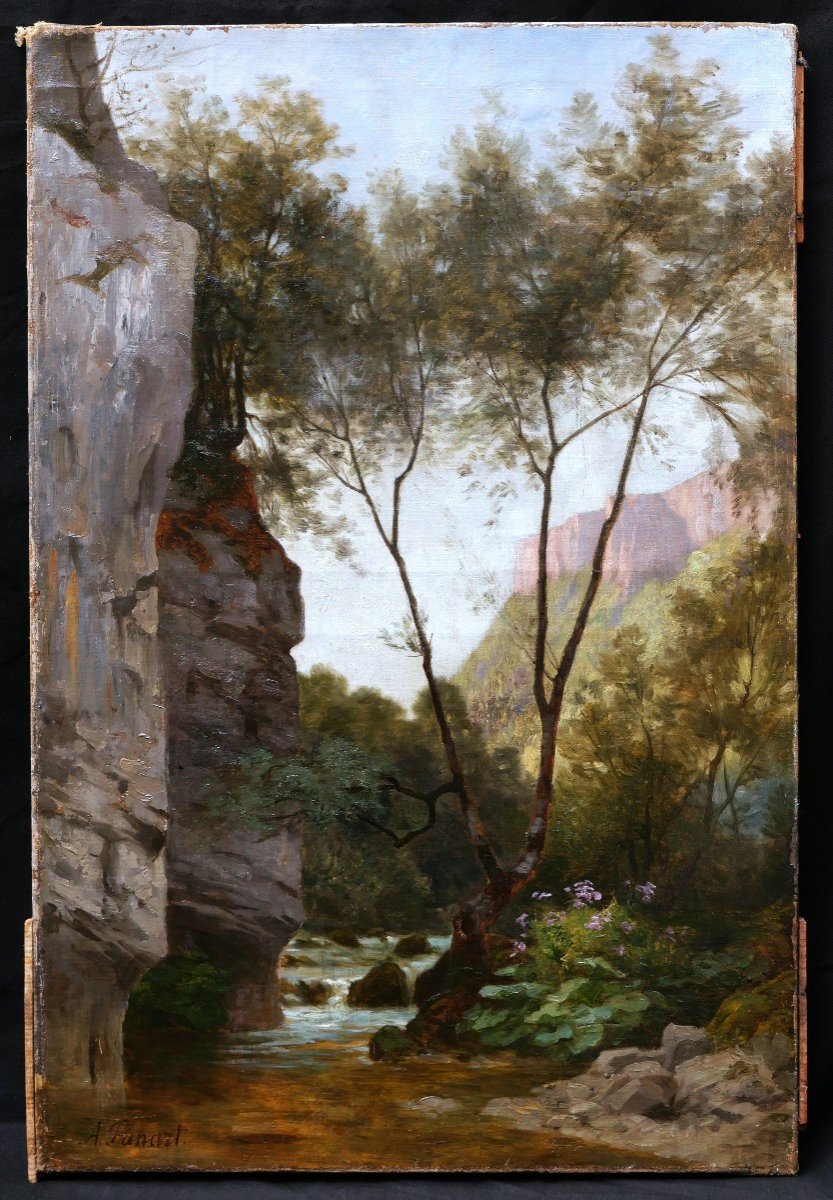 Clément Alphonse Antonin Fanart, The Gorges Of The Doubs-photo-1