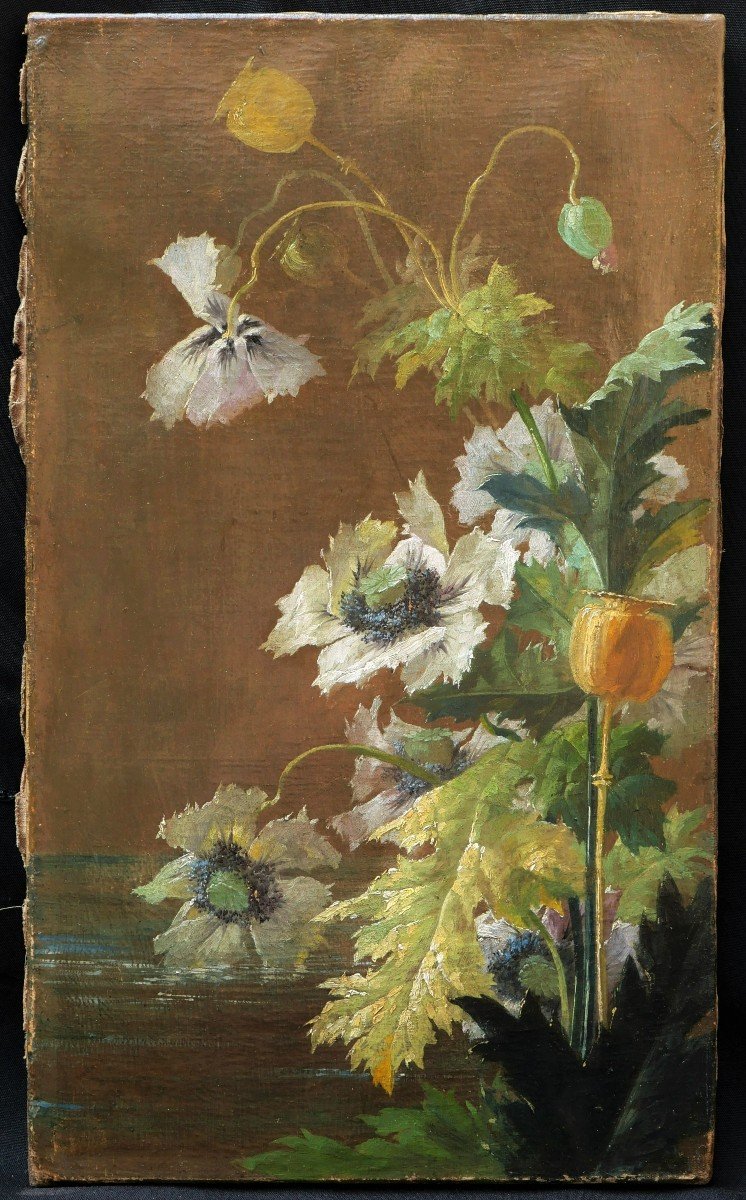 École FRANÇAISE du XIXème siècle, Pavots d'Orient (papaver orientalis)-photo-3