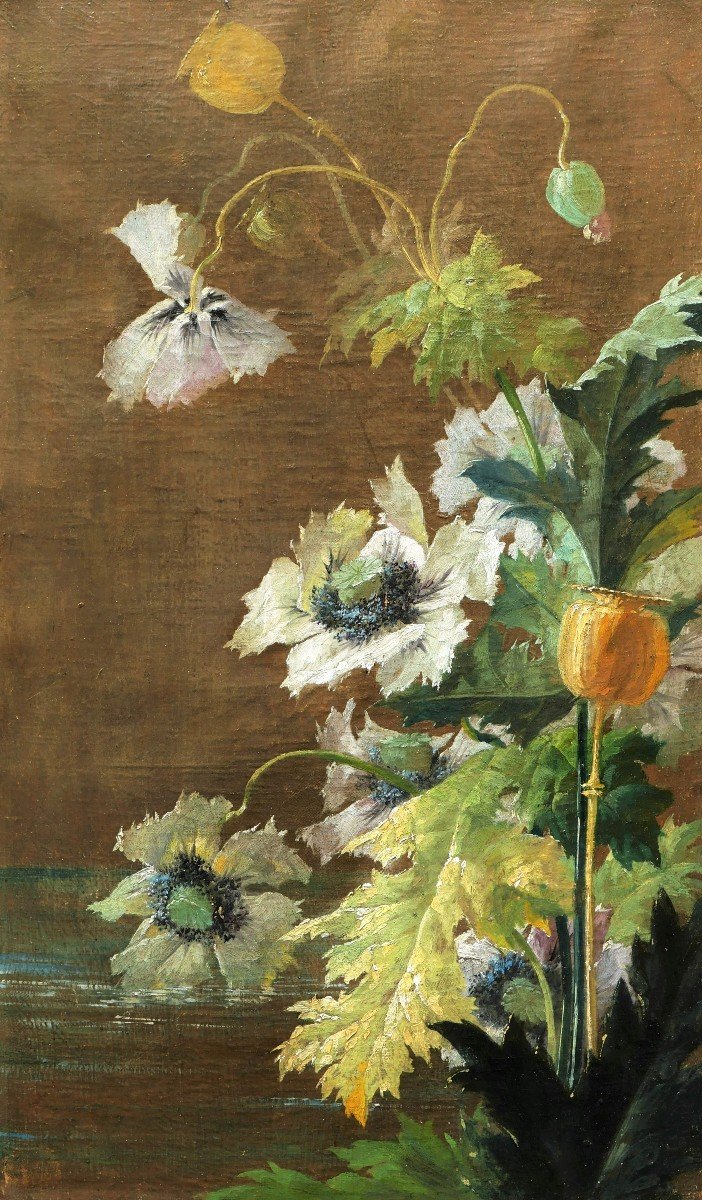 École FRANÇAISE du XIXème siècle, Pavots d'Orient (papaver orientalis)