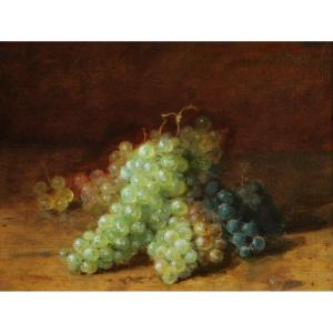Amédée Genin, Bunches Of Grapes