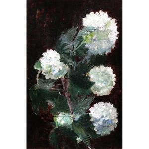 French School Circa 1900, Snowball Viburnum (viburnum Opulus Roseum)