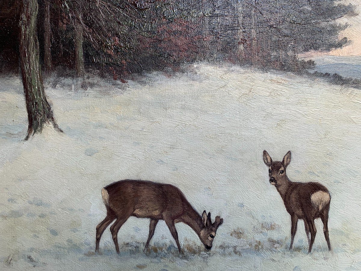 Deer In The Snow-photo-2