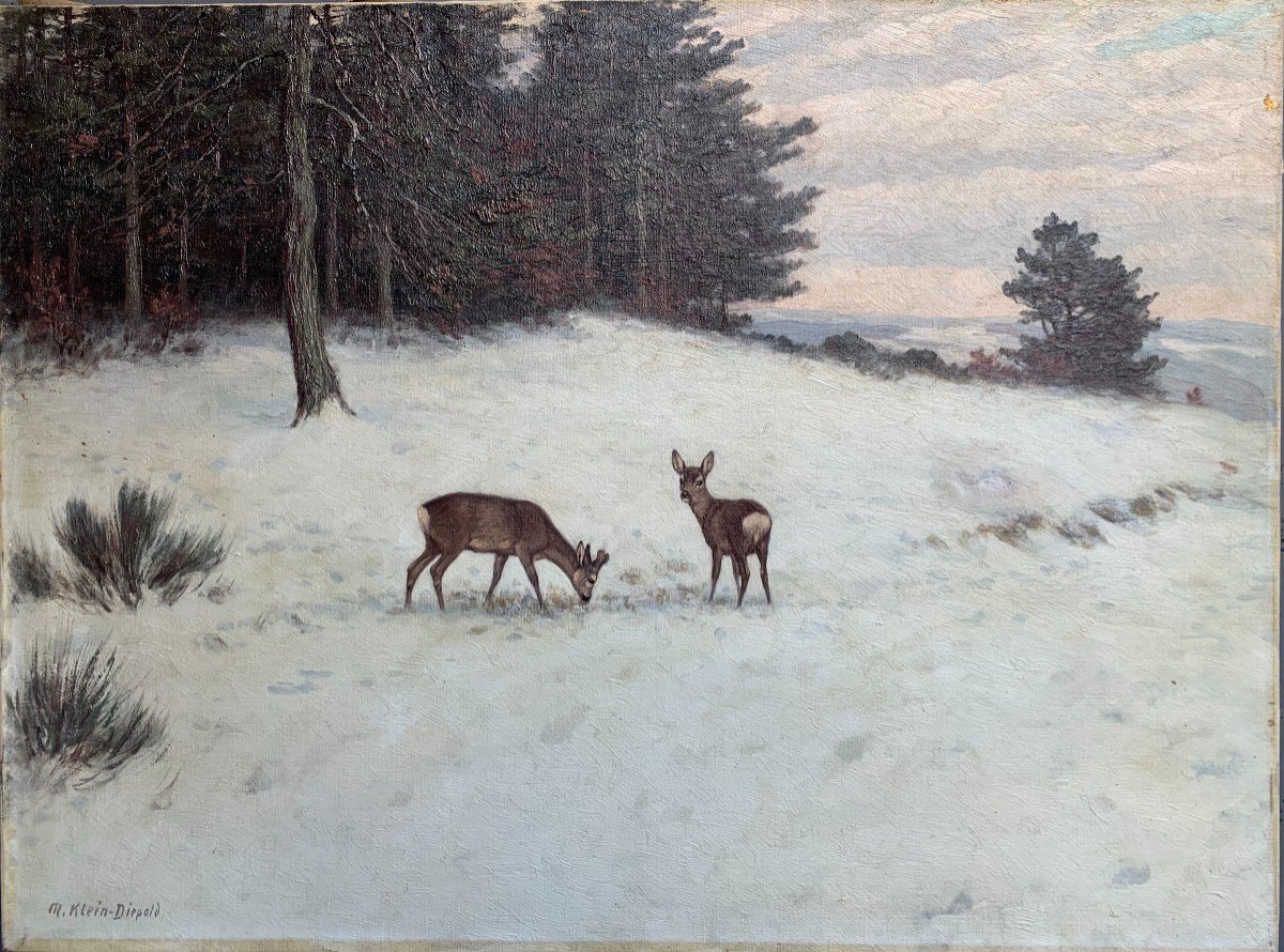 Deer In The Snow