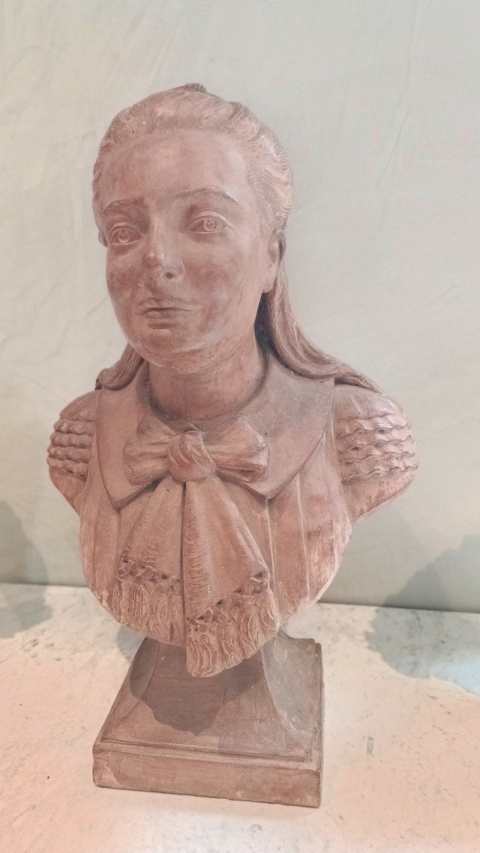 Bust Of Woman In Terracotta 19th