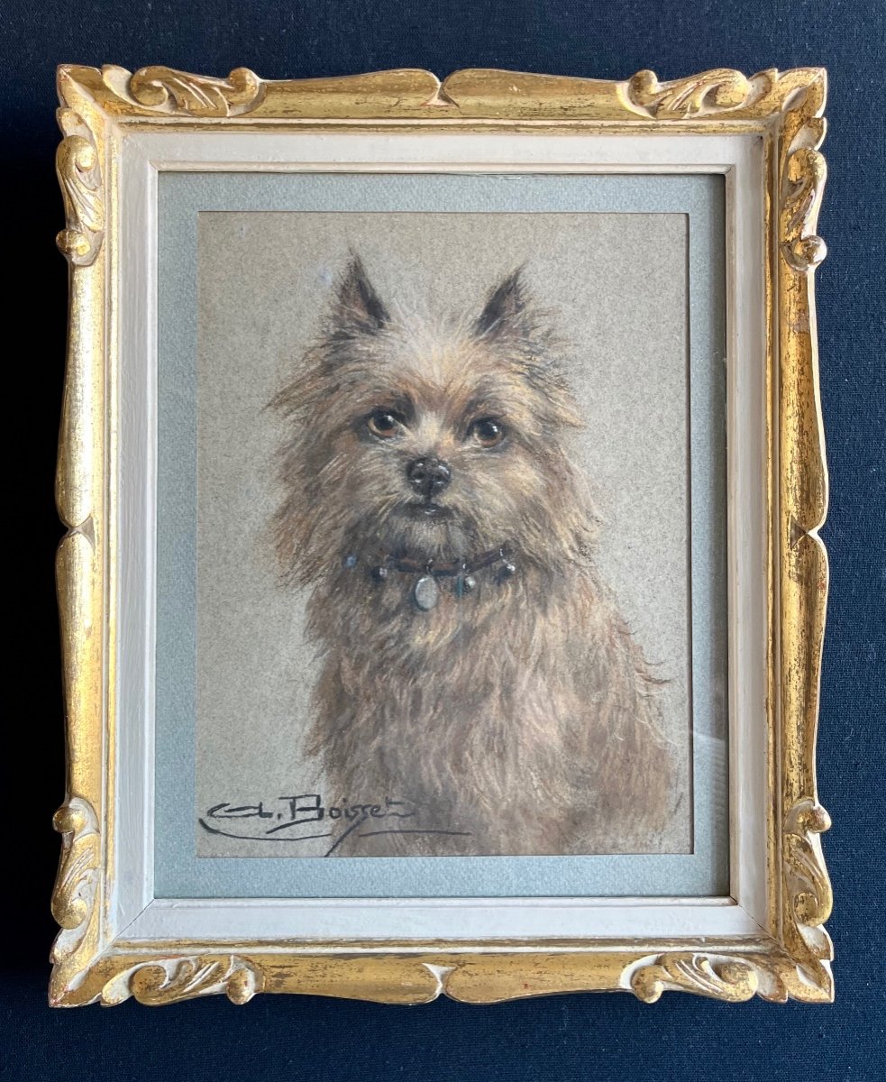 "Portrait de chien" Aline Boisset-photo-2