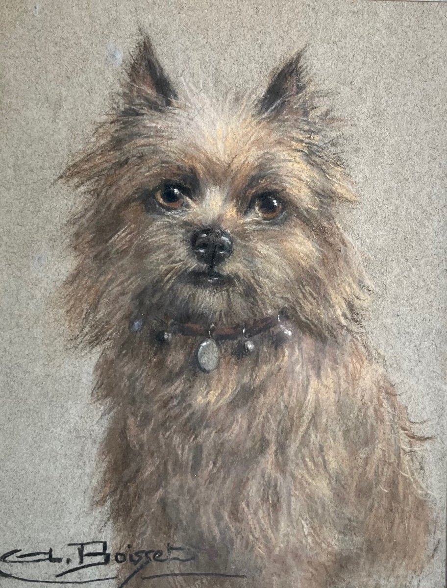 "Portrait de chien" Aline Boisset