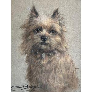 "Portrait de chien" Aline Boisset