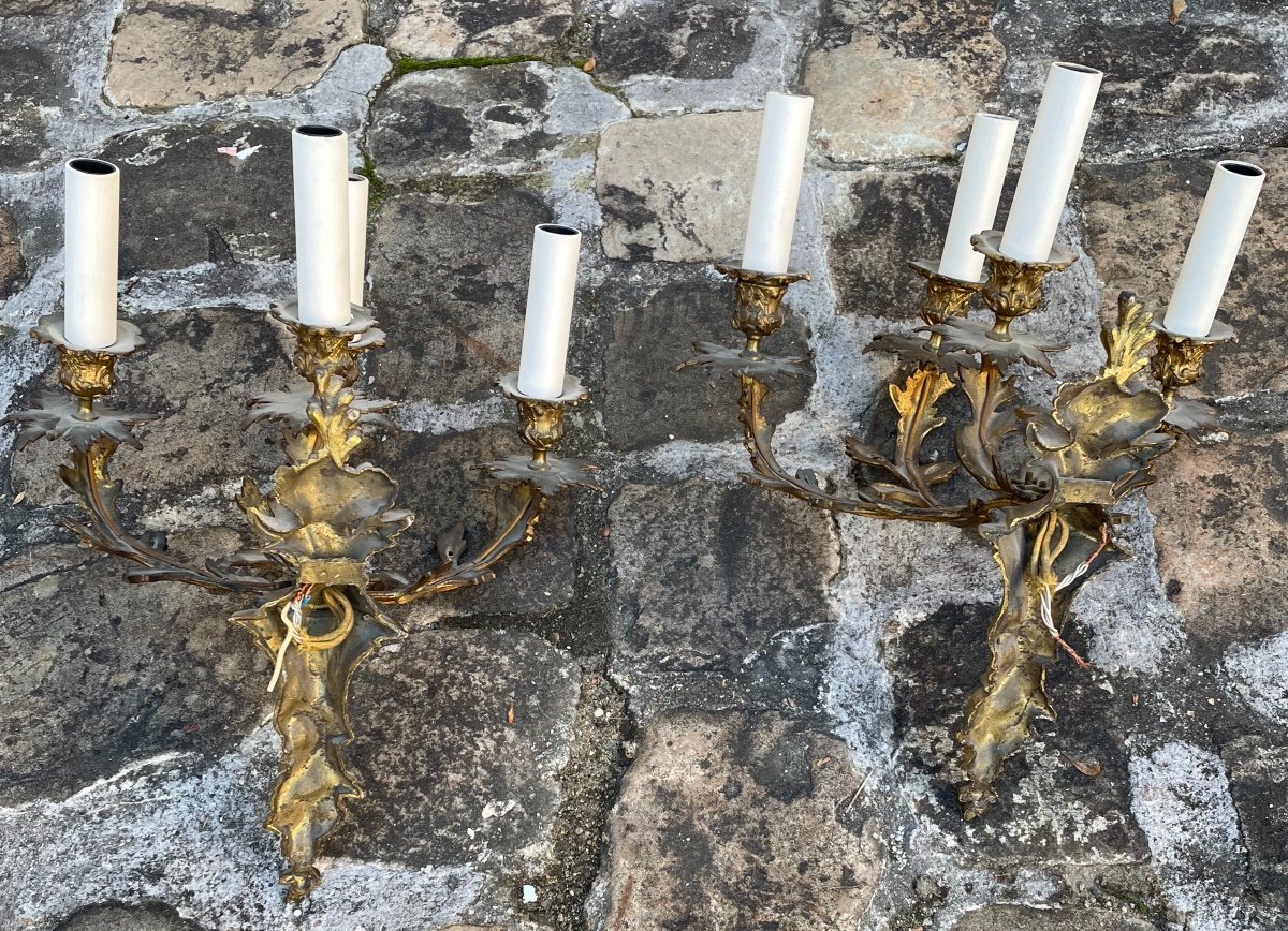 Pair Of Louis XV Sconces, Rocaille Style, In Gilded Bronze-photo-6