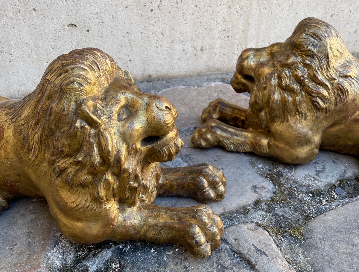 Sculptures. Paire De Lions En Bois Sculpté Et Doré-photo-7