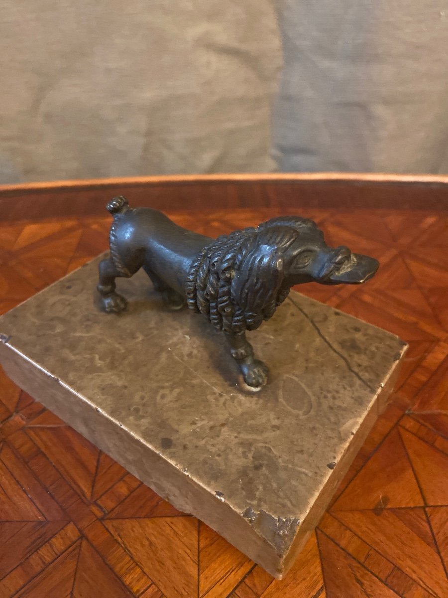 Chien Bronze -photo-3