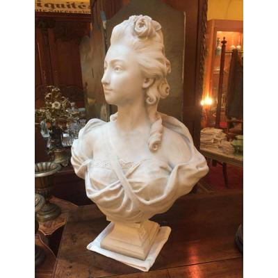 Female From Carrara Marble Bust