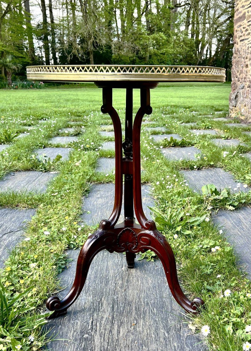 Tripod Pedestal Table In Mahogany And Mahogany Veneer, Brass Gallery