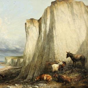 Bétail près des falaises KENT - T. S. Cooper