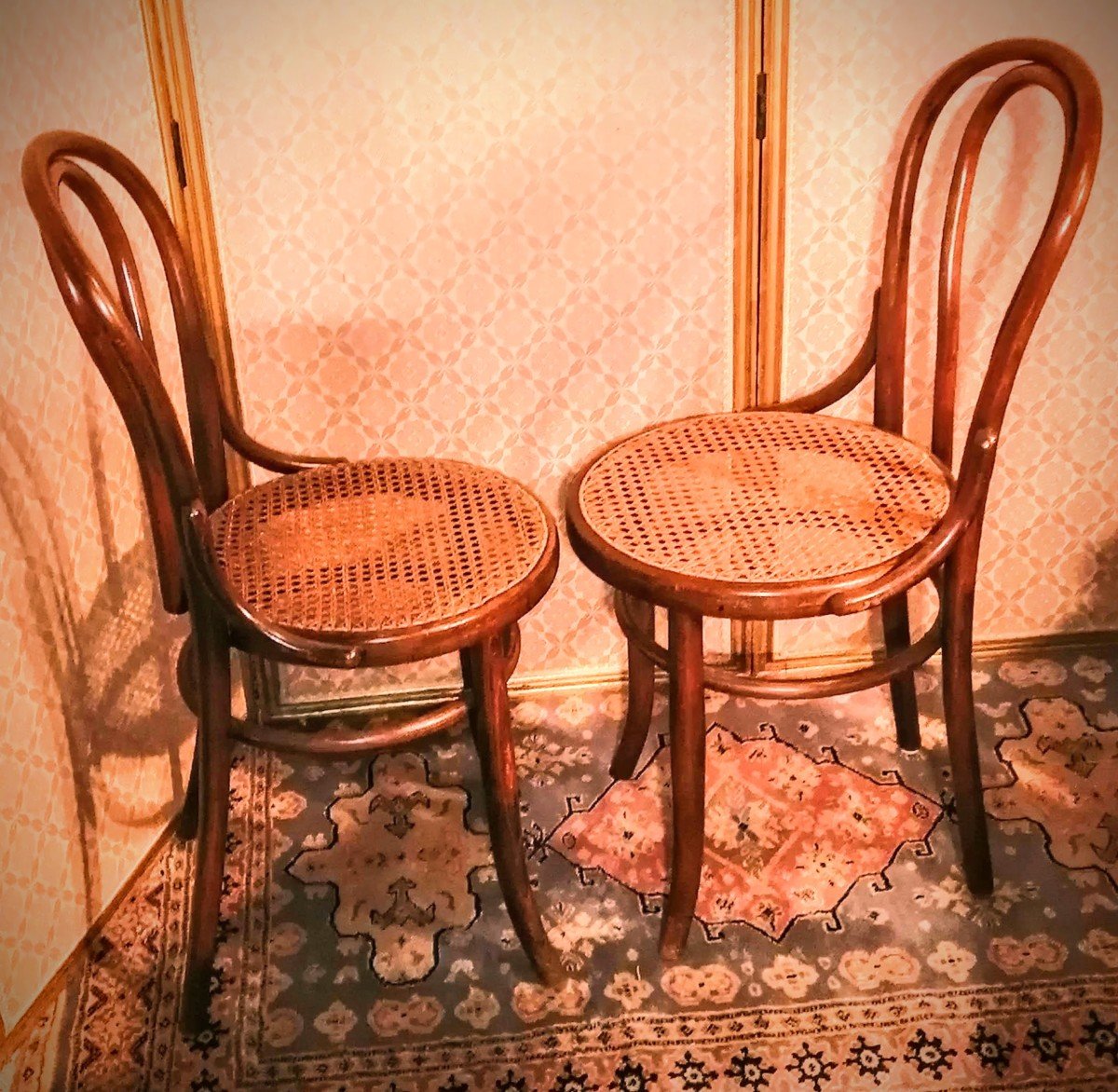 Paire de Chaises Estampillées Fischel Bois Courbé  Art Nouveau 1900.( Pas Thonet)-photo-3