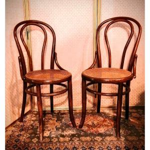 Pair Of Chairs Stamped Fischel  Curved Wood Art Nouveau 1900 Not Thonet