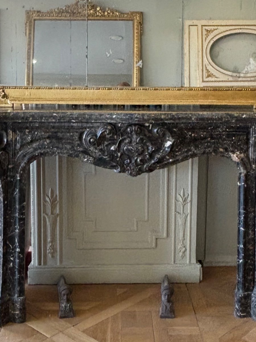 Very Beautiful Antique Louis XV Style Fireplace In Saint Jean Fleuri Marble 19th Century-photo-2