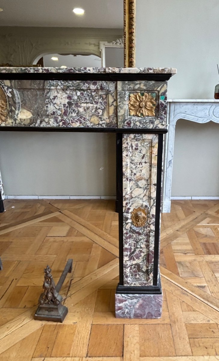 Exceptional Louis XVI Style Bronze Peach Blossom Marble Fireplace-photo-3