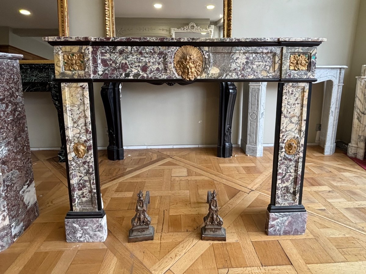 Exceptional Louis XVI Style Bronze Peach Blossom Marble Fireplace-photo-1