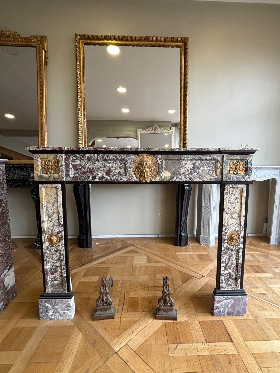 Exceptional Louis XVI Style Bronze Peach Blossom Marble Fireplace