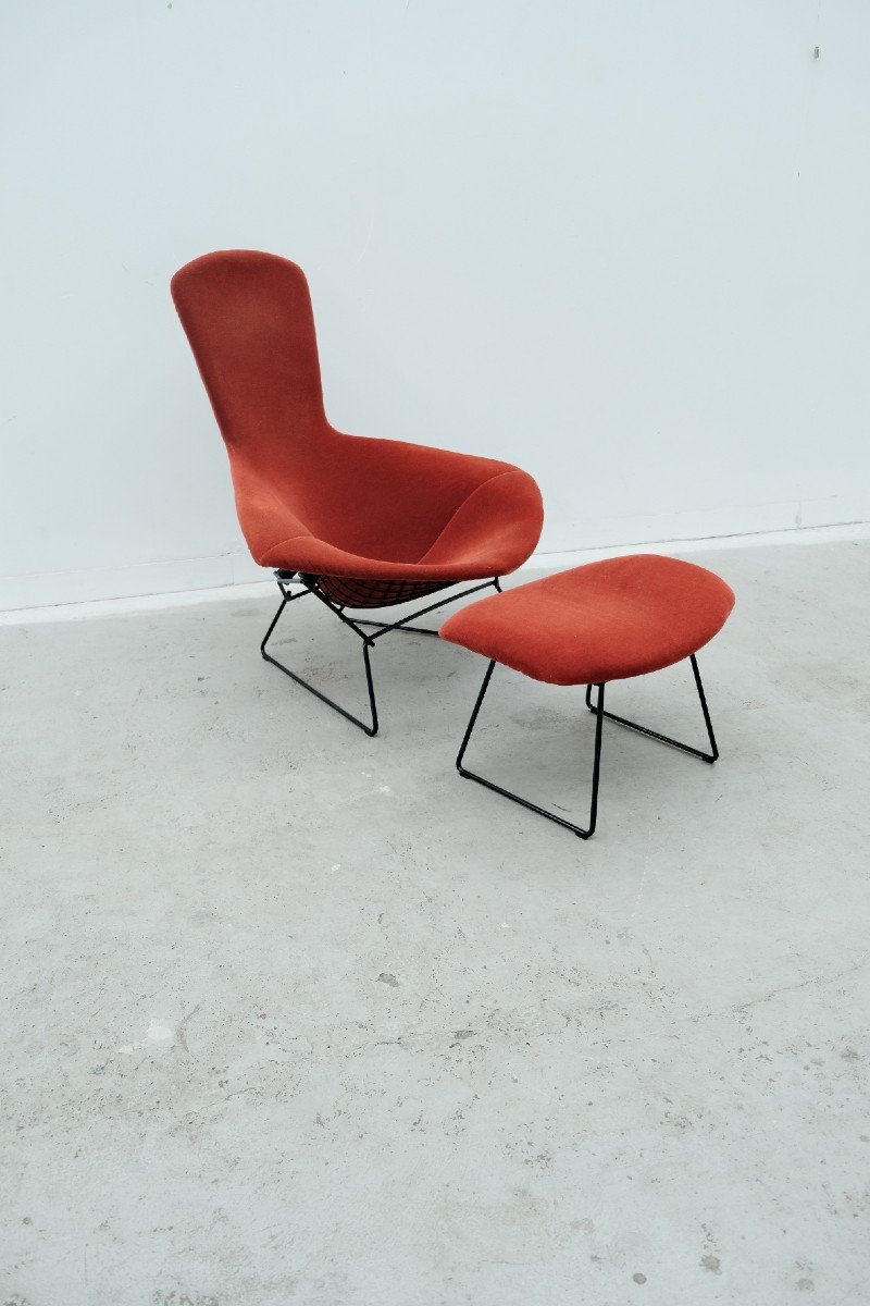 Harry Bertoia's "bird" Armchair And Footrest For Knoll International -photo-4