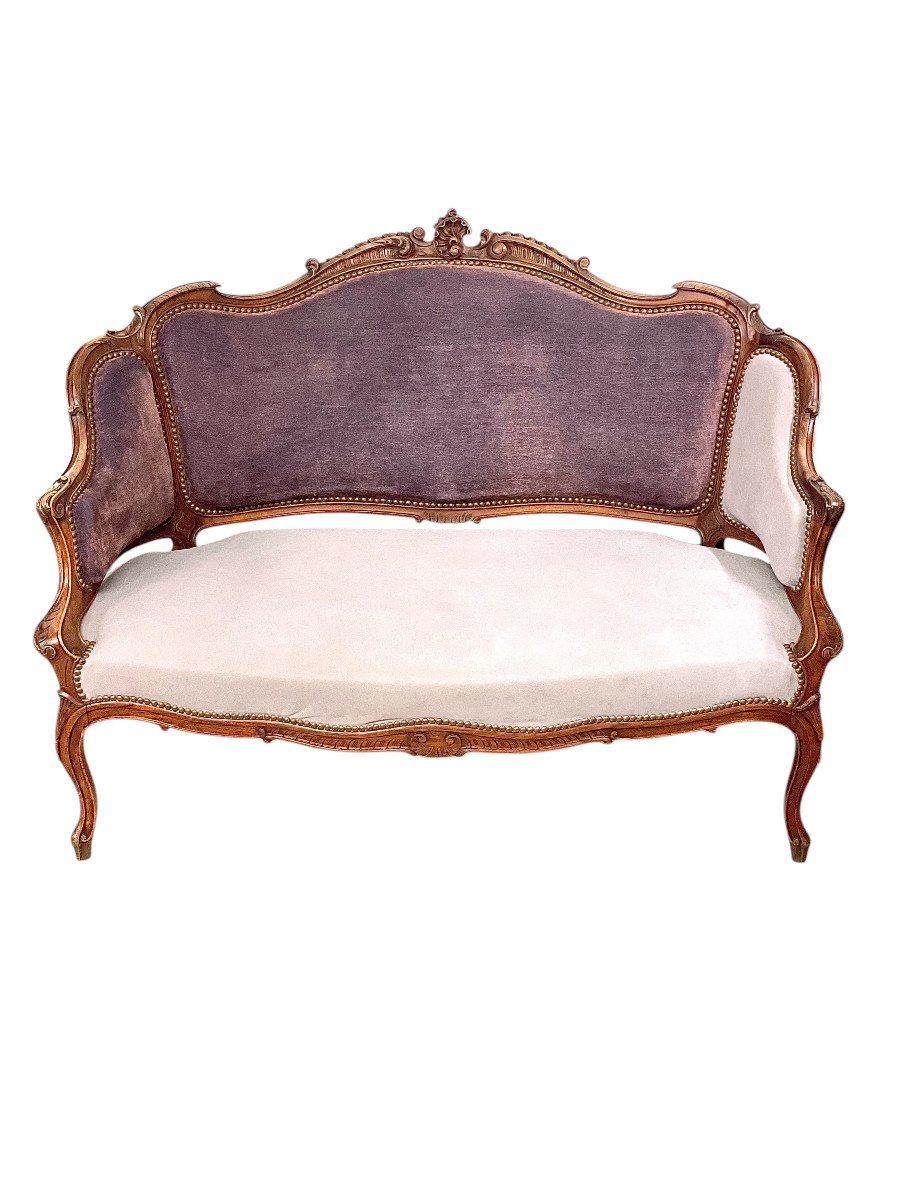 19th Century Louis XV Style Hand-carved Walnut Sofa -photo-4