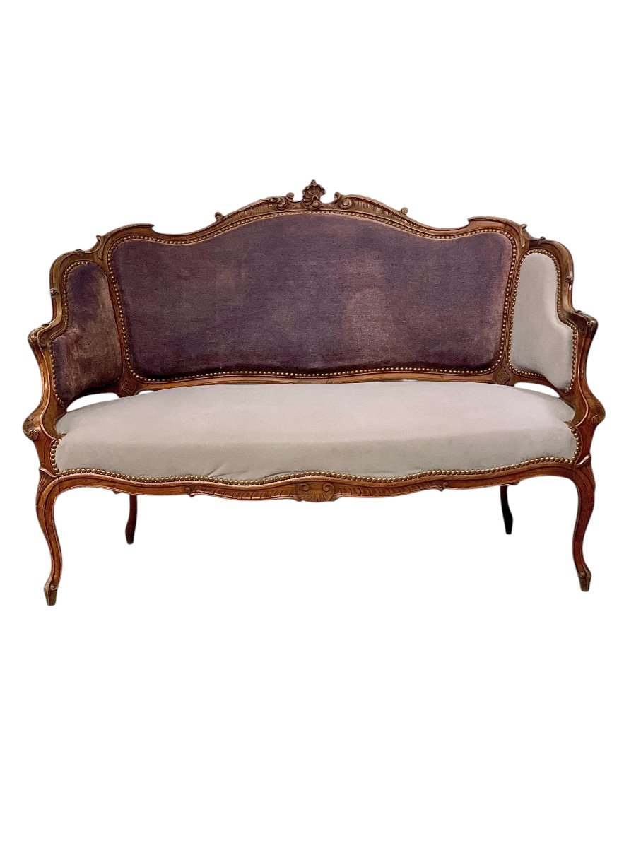 19th Century Louis XV Style Hand-carved Walnut Sofa 