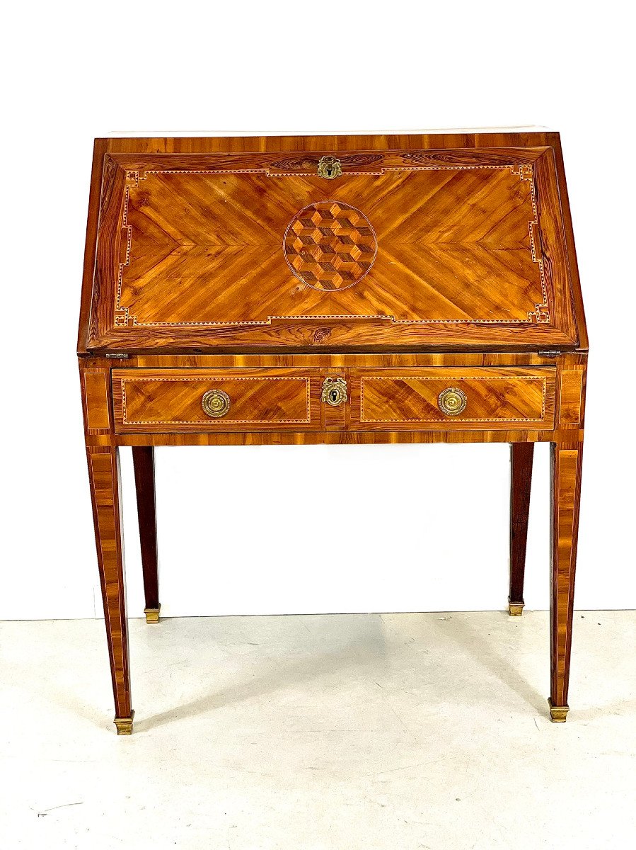 18th Century French Louis XVI Desk Or 'bureau à Dos d'âne'