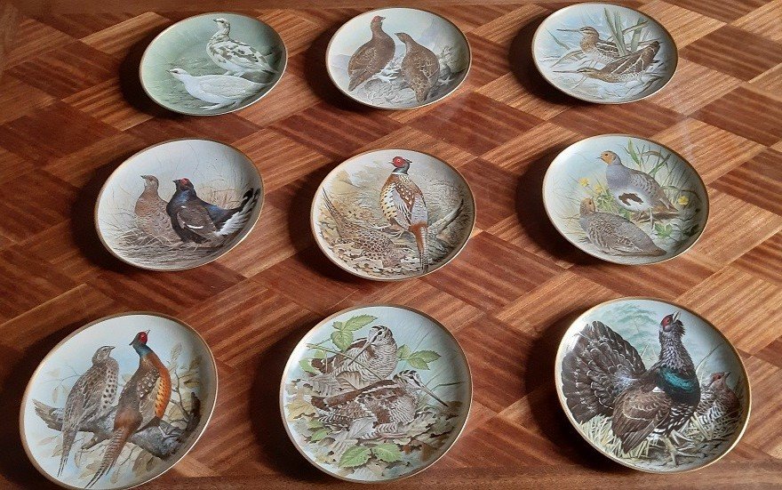 Lot De 9 Assiettes, Franklin Porcelaine, Collection Game Birds Of The World